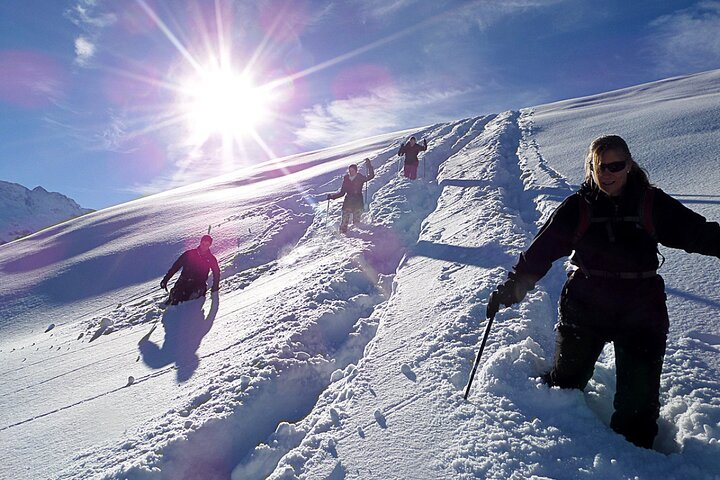 Scenic Snowshoe Adventure in South Lake Tahoe, CA - Photo 1 of 25